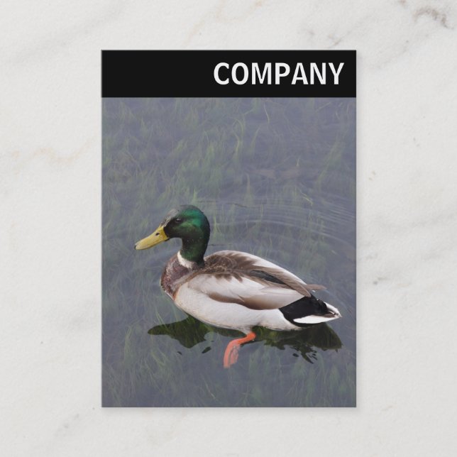 Carte De Visite En-tête V - Canard à allard (Devant)