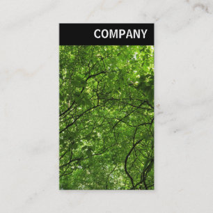 Carte De Visite En-tête V - Canopée en bois