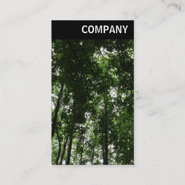 Carte De Visite En-tête V - Canopée en bois 01 (Devant)