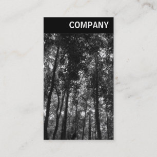 Carte De Visite En-tête V - Canopée en bois 02 BW
