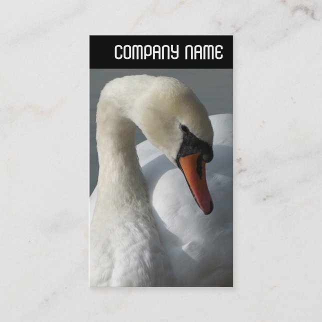 Carte De Visite En-tête V - Cygne (Devant)