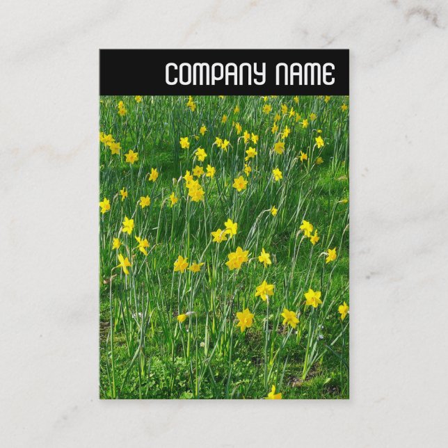 Carte De Visite En-tête V - Daffodils/Narcisse (Devant)