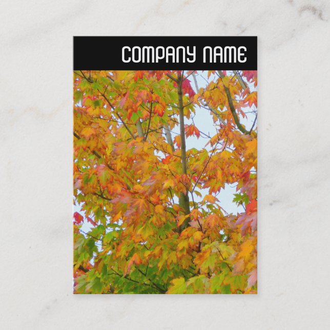 Carte De Visite En-tête V - Feuilles d'automne (Devant)