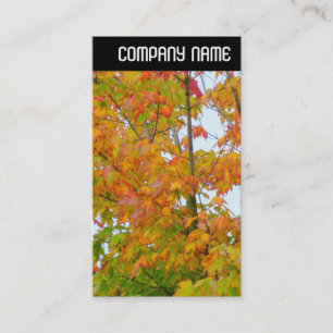 Carte De Visite En-tête V - Feuilles d'automne