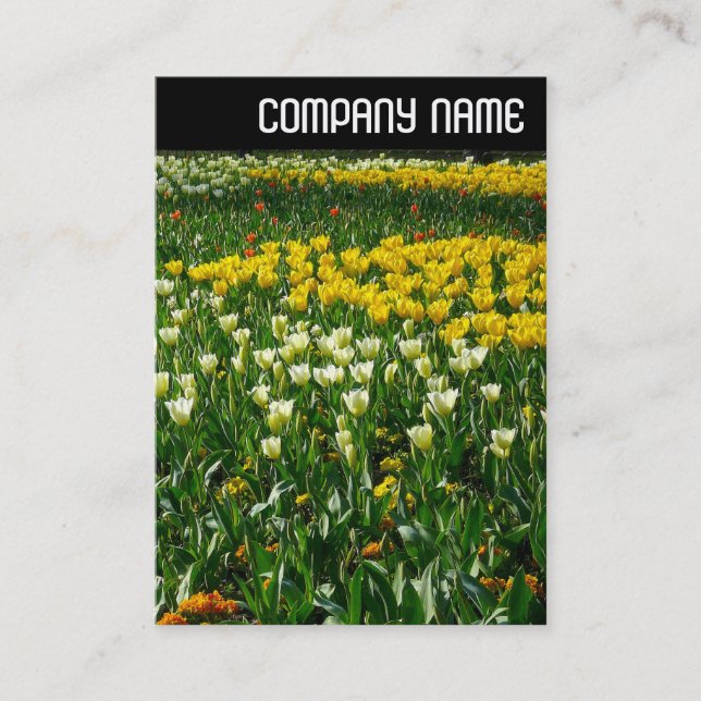 Carte De Visite En-tête V - Fleurs de ressort (Devant)
