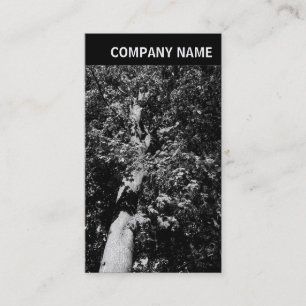 Carte De Visite En-tête V - Image - Arborescence du plan