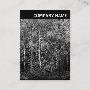 Carte De Visite En-tête V - Image - Hêtres