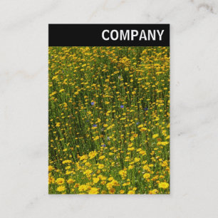 Carte De Visite En-tête V - Lit de marguerites jaunes