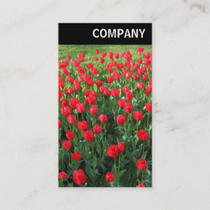 Carte De Visite En-tête V - Lit de Rouges Tulipes 01