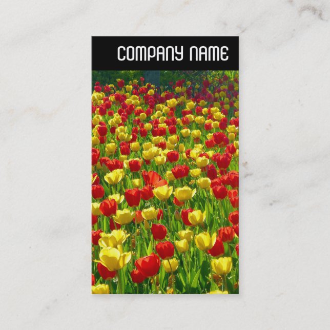 Carte De Visite En-tête V - Mer des Tulipes (Devant)