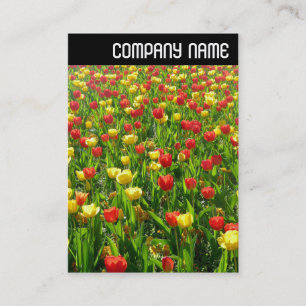 Carte De Visite En-tête V - Mer des Tulipes II