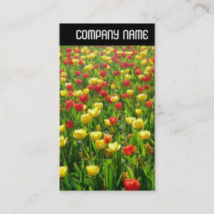 Carte De Visite En-tête V - Mer des Tulipes II