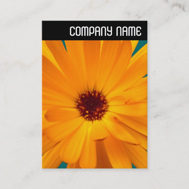 Carte De Visite En-tête V - Orange Marigold (Devant)