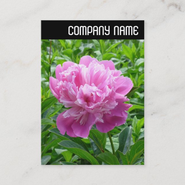 Carte De Visite En-tête V - Peine rose (Devant)