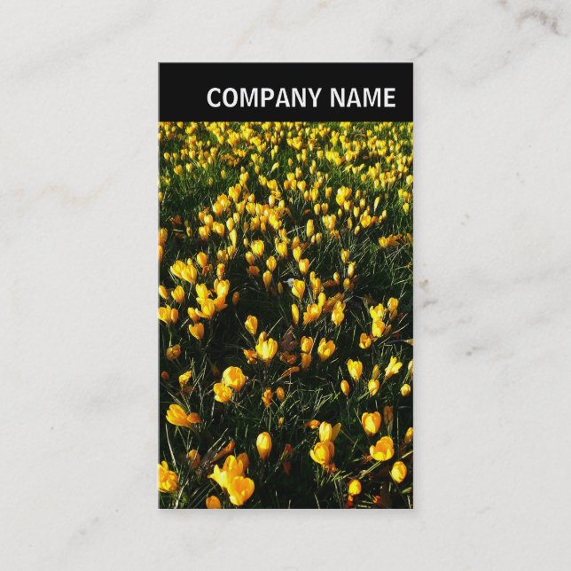 Carte De Visite En-tête V - Photo - Crocus (Devant)