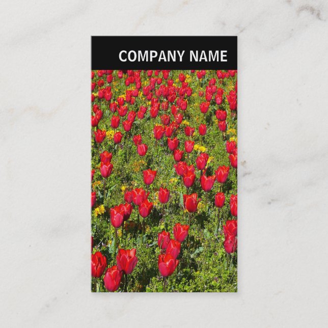 Carte De Visite En-tête V - Photo - Tulips (Devant)