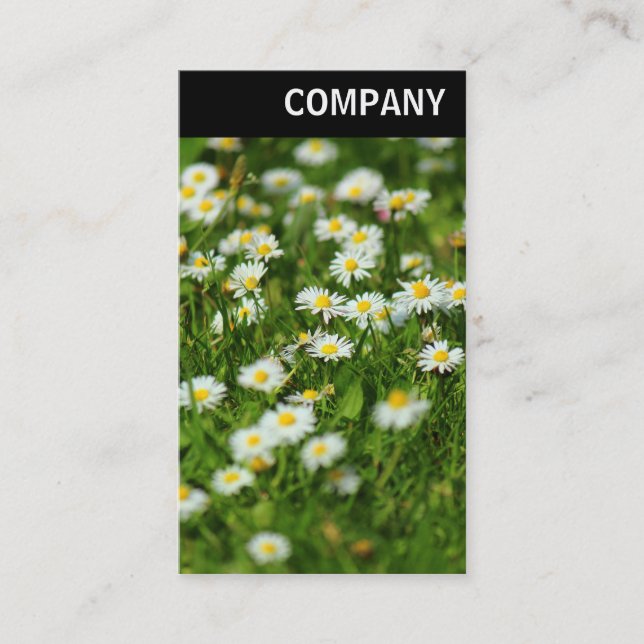 Carte De Visite En-tête V - Pré de marguerite (Devant)