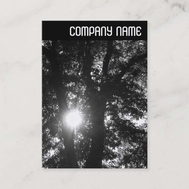 Carte De Visite En-tête V - Sun Through Trees B&W (Devant)