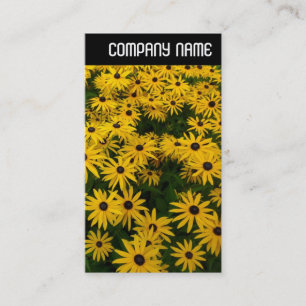 Carte De Visite En-tête V - Susans aux yeux noirs (Rudbeckia Hirta