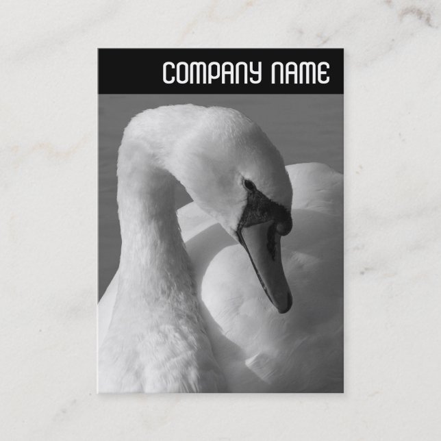 Carte De Visite En-tête V - Swan B&W (Devant)