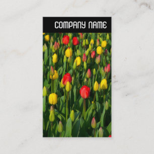 Carte De Visite En-tête V - Tulipes colorées