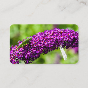 Carte De Visite énergie katydone