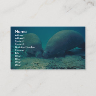 Carte De Visite Enracinement de Manatte dans le sable