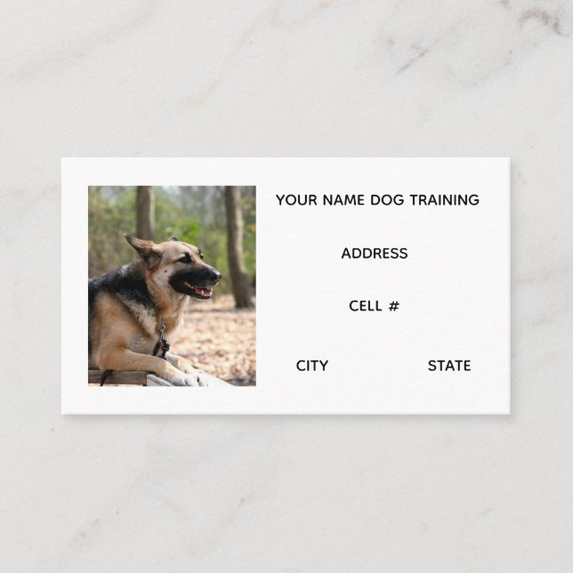 Carte De Visite Entraînement de chien (Devant)