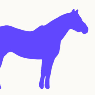Carte De Visite Entreprise de formation de chevaux Bleu simple et