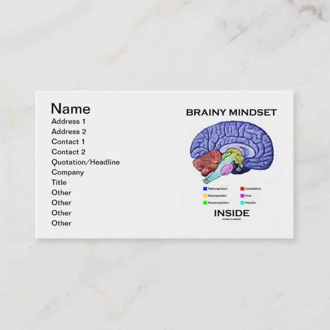Carte De Visite Esprit Brainy à l'intérieur (Cerveau Anatomique) (Devant)