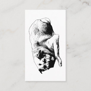 Carte De Visite Esprit Équilibré, Écho Doux