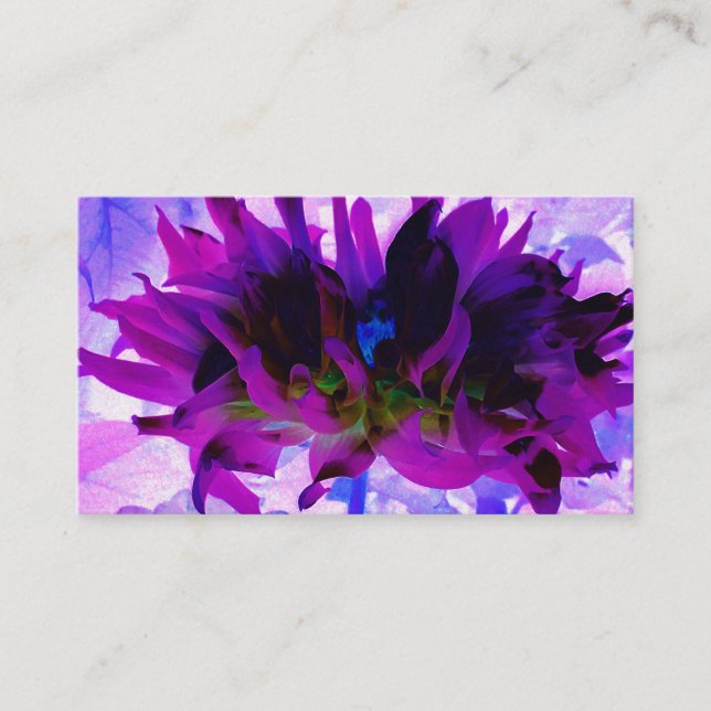 Carte De Visite Étonnant violet et noir cactus Dahlia (Devant)