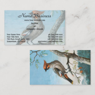 Carte De Visite Étude d'oiseaux par George Edwards (1694-1773)