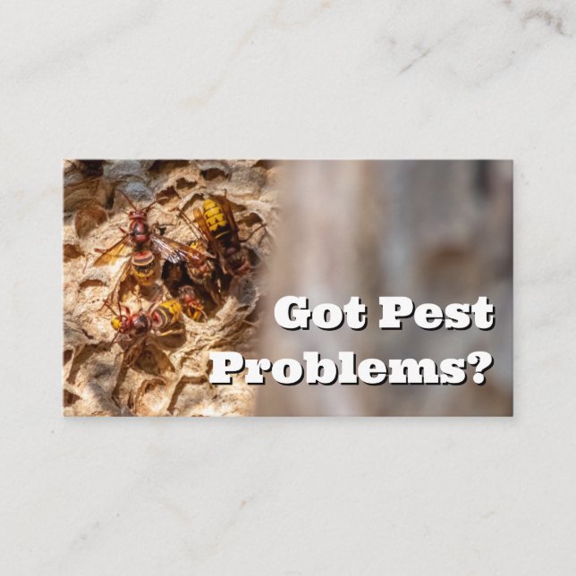 Carte De Visite Exterminateur de parasites pour guêpes à cornets l (Devant)