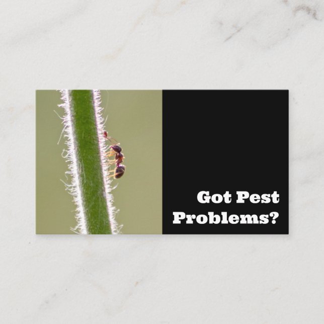 Carte De Visite Exterminateur de parasites pour les fourmis termit (Devant)