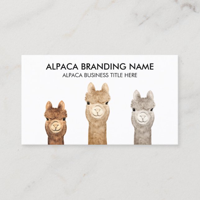 Carte De Visite Ferme d'alpacas blancs (Devant)