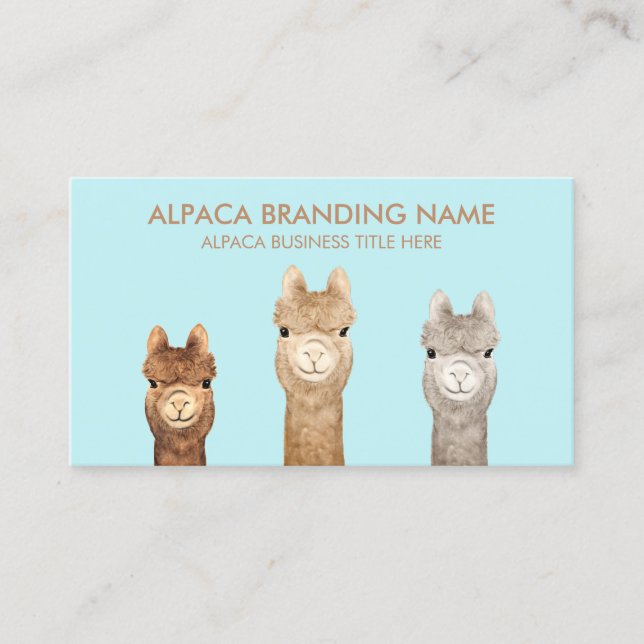 Carte De Visite Ferme de laine d'alpaca (Devant)