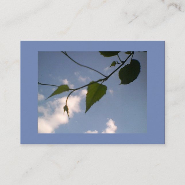 Carte De Visite Feuillage vert dans un ciel bleu (Devant)