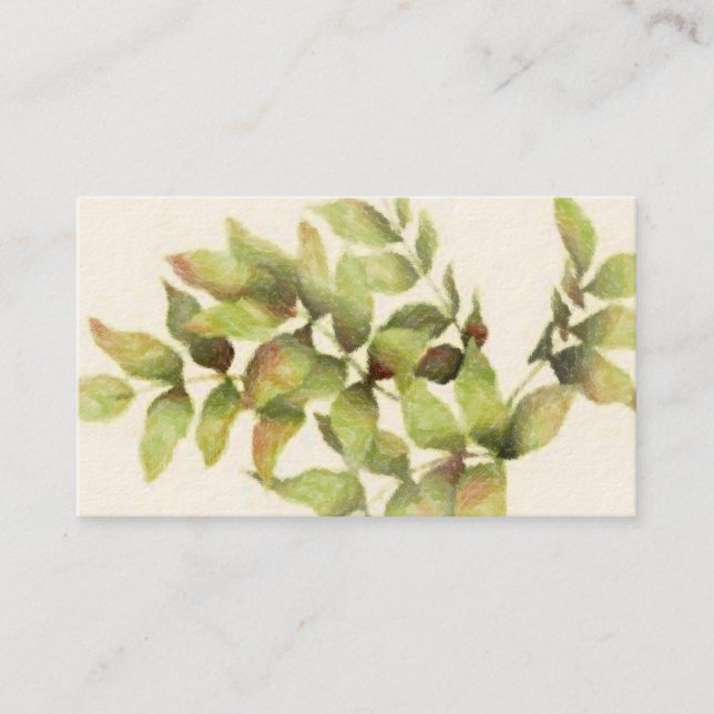 Carte de visite Feuille vert (Devant)
