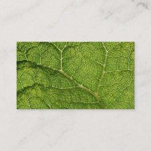 Carte De Visite Feuille verte. Digitals art.