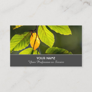 Carte De Visite Feuilles d'automne colorées au coucher de soleil