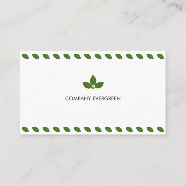 Carte De Visite Feuilles de Laurier Vert Moderne sur Fond Blanc (Devant)