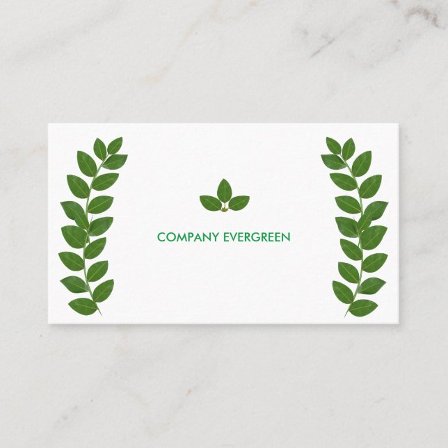Carte De Visite Feuilles de Laurier Vert Moderne sur Fond Blanc (Devant)