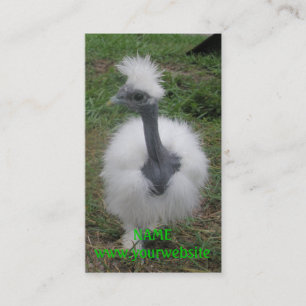 Carte De Visite Fille soyeuse de Turken