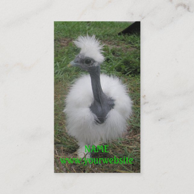 Carte De Visite Fille soyeuse de Turken (Devant)