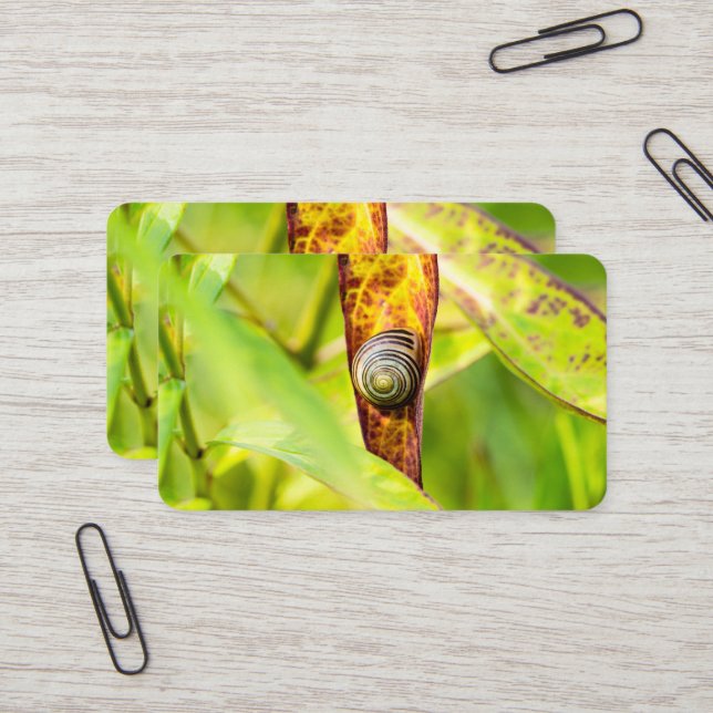 Carte De Visite fixation calme (Devant/Arrière en situation)