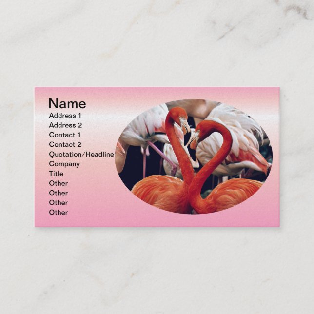 Carte De Visite Flamant rose rose dans la nature (Devant)
