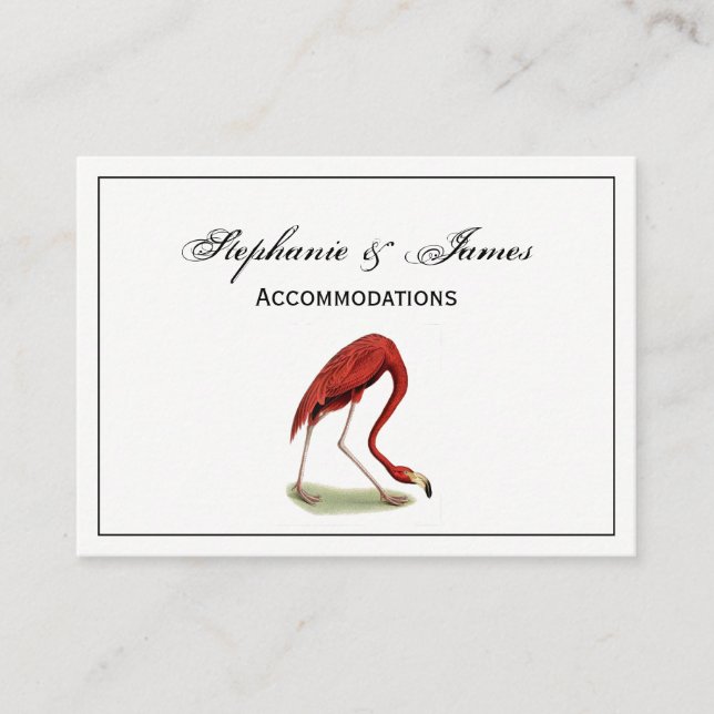 Carte De Visite Flamant Rose Vintage #1 (Devant)