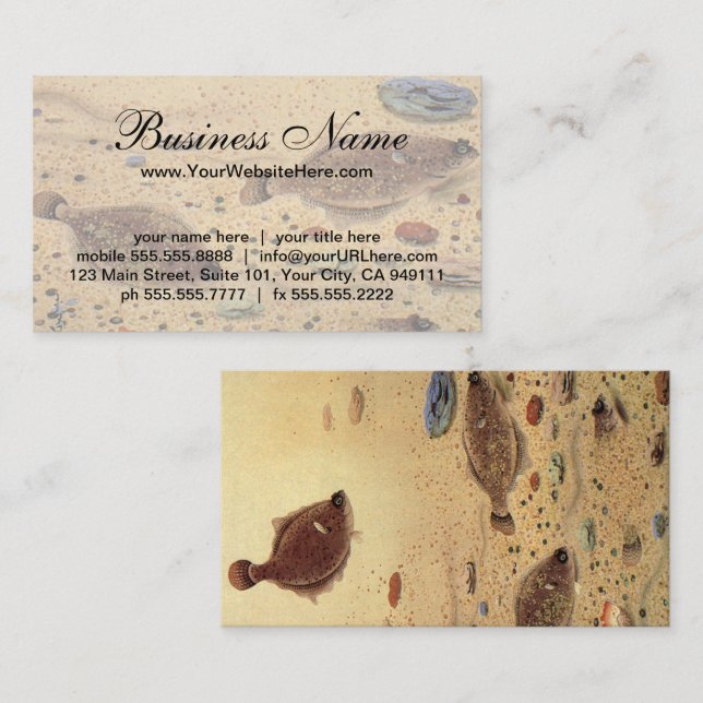 Carte De Visite Flets ou poissons plats, vieilles illustrations de (Devant / Derrière)