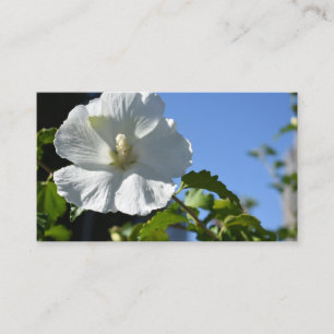 Carte De Visite Fleur Bleu Ciel Jardin Nature Photo Florale